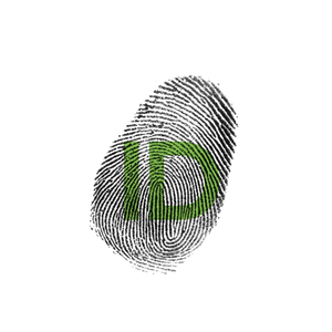 Fundraising Page: Linsey Carson